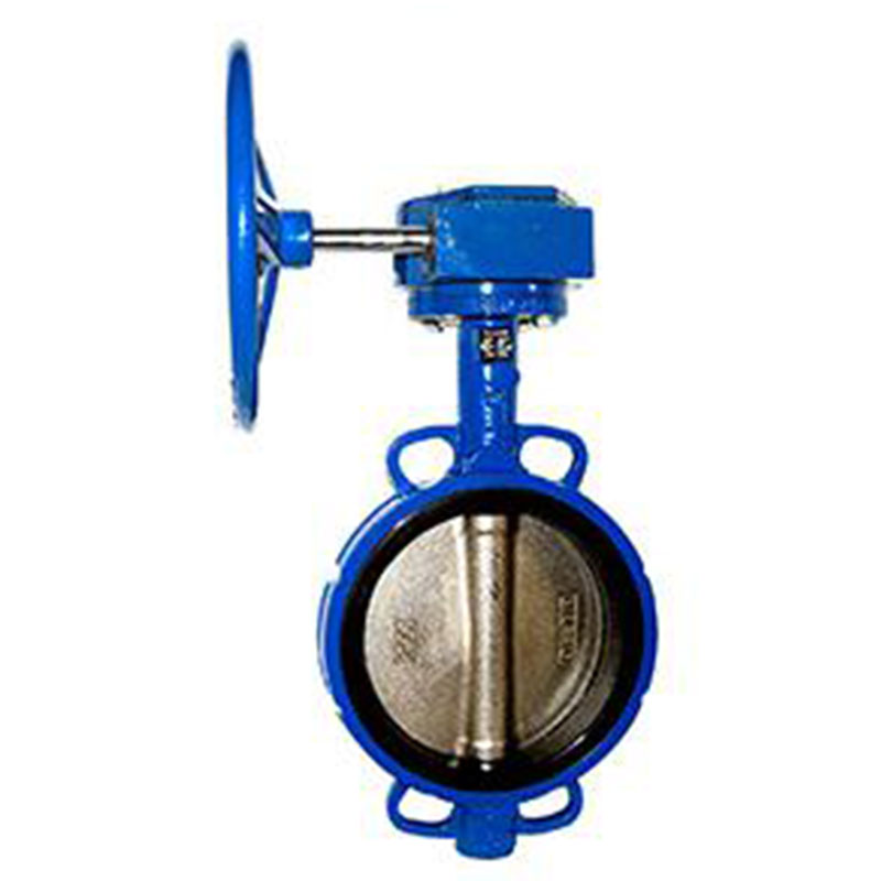 Ductile Iron Butterfly Valve