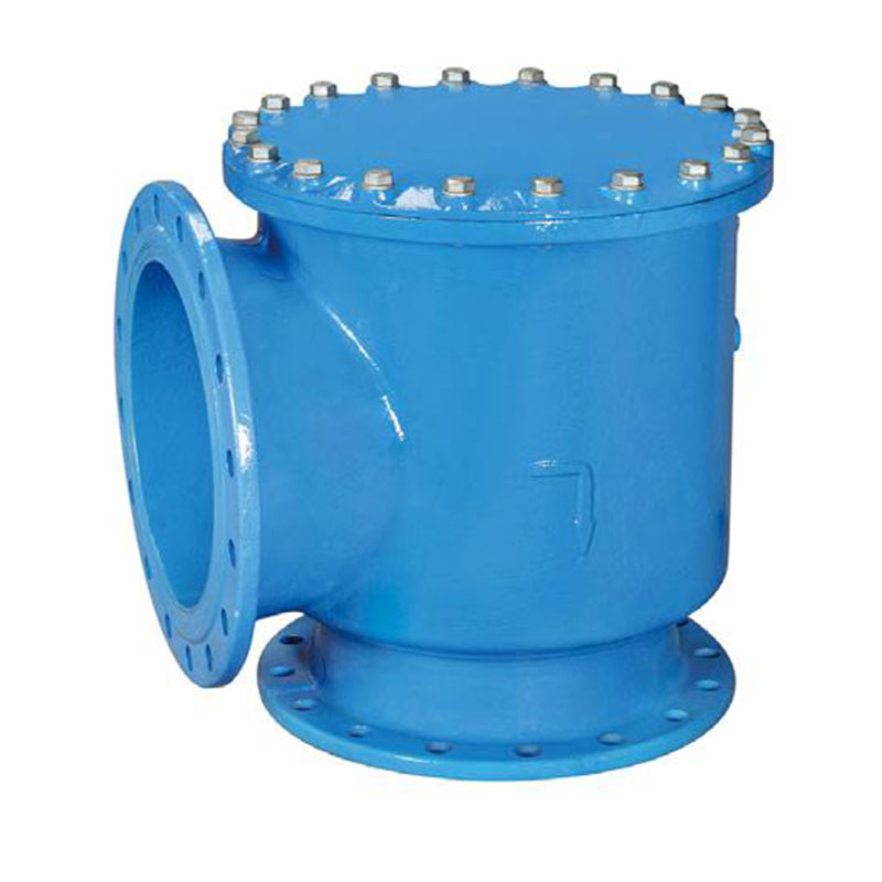 Ductile Iron Suction Diffuser